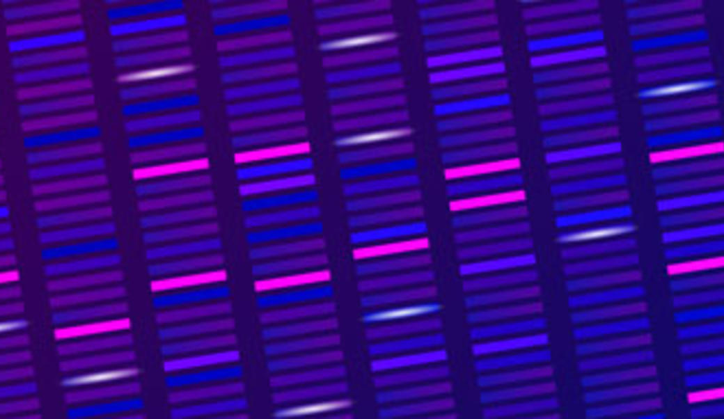 DNA test visualization: colored rectangles