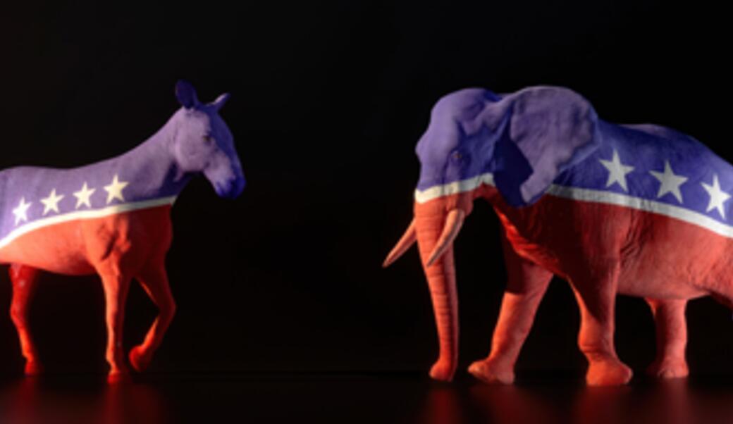 Donkey and elephant covered in red white blue paint