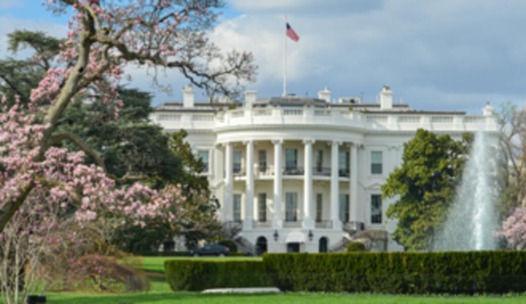 White House in springtime